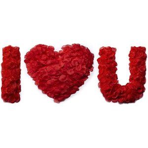 1200 PCS Artificial Silk Rose Petals Decoration for Romantic Night, Wedding